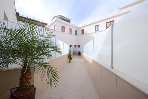 an empty hallway of a building with a plant at Residence Rapisardi by RECEPTIO in Catania