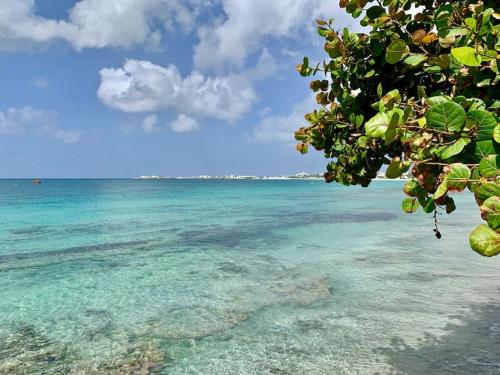 a view of the ocean from the beach at Hamaka condo a beachfront retreat on Simpson Bay Beach in Simpson Bay