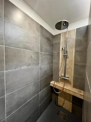 une salle de bain avec une douche avec pommeau de douche dans l'établissement MAS DE VILLE AVEC PISCINE DANS SON COCON DE VERDURE - ESPRIT INDUSTRIEL, à Carpentras
