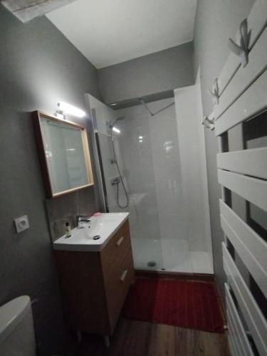 ein Bad mit einer Dusche, einem Waschbecken und einem Spiegel in der Unterkunft Grande Maison Luberon Ventoux in Aurel