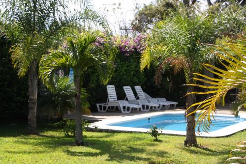 a swimming pool with chairs and palm trees at Apartamentos La Alborada Airport SJO in Alajuela City