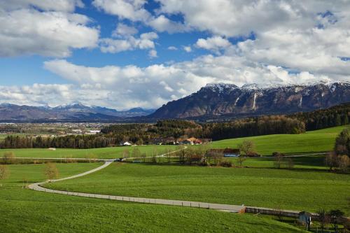 um campo verde com montanhas ao fundo em Das Salzburgblick em Ainring
