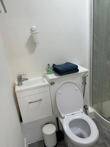 een witte badkamer met een toilet en een douche bij Guest and Rest 7 in Londen