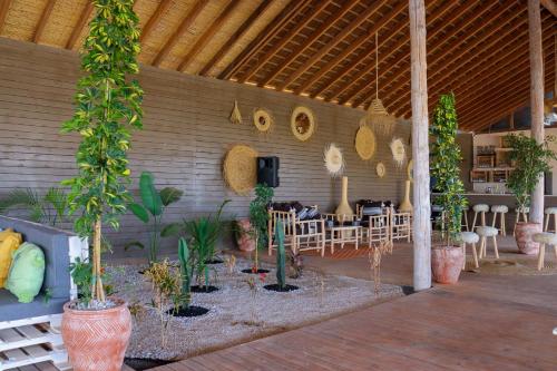 a patio with potted plants and tables and chairs at Desert Sands Dakhla in Dakhla