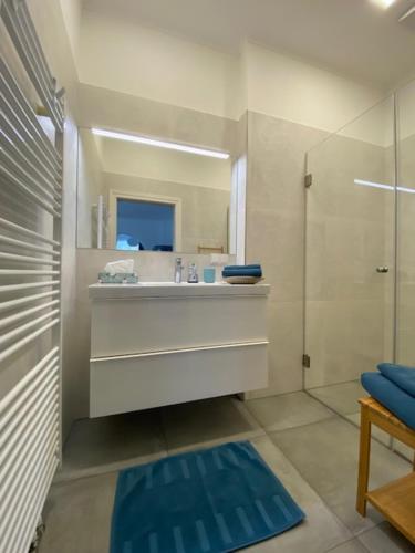 uma casa de banho com um lavatório e um chuveiro com um espelho. em Gästezimmer Weingut Höllerer em Engabrunn