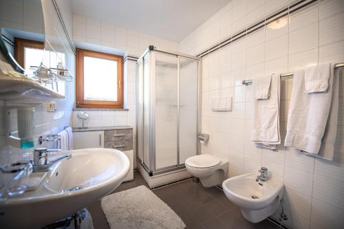 een badkamer met een wastafel, een toilet en een douche bij Bonichhof in Laion