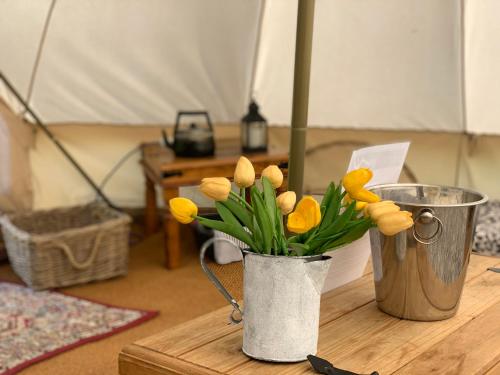 a vase filled with yellow tulips on a table at Home Farm Radnage Glamping Bell Tent 7, with Log Burner and Fire Pit in High Wycombe