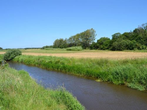 a river in the middle of a field with grass at Apartment Gunhild - 22km from the sea in Western Jutland by Interhome in Bredebro