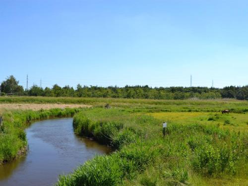 a river in the middle of a field at Apartment Esja - 22km from the sea in Western Jutland by Interhome in Bredebro