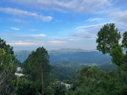 a view of the mountains from the forest at Mountain green valley homestay in Lansdowne