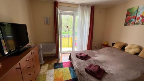 Bella Apartman Harkány 7815 Harkány, 2 Bartók Béla utca kép - 3