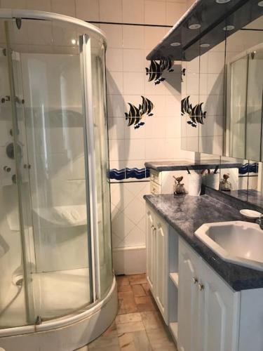 une salle de bain avec douche et lavabo dans l'établissement BANDOL ROC BEACH VUE MER Grand T3 face à la plage avec parking, à Bandol