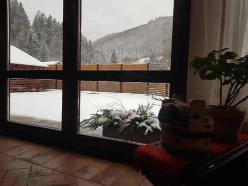 a window with a view of a snow covered yard at Șura lu' Vasile. in Crivina