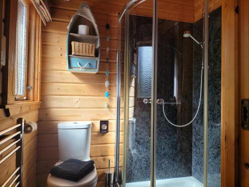 a bathroom with a shower with a toilet and a sink at Immaculate 2-Bed Lodge Next To Lake in Preston