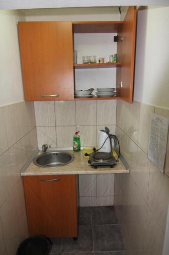 Dapur atau dapur kecil di Apartments in villa Viktoria