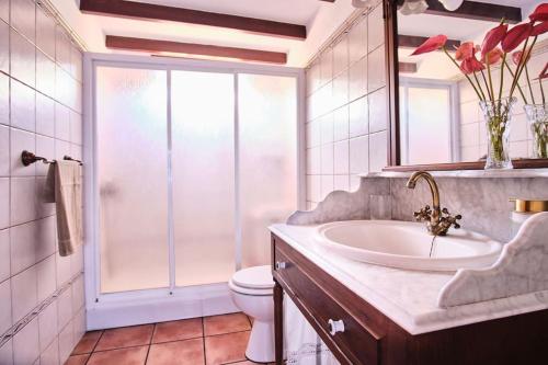 een badkamer met een wastafel, een toilet en een spiegel bij El Convento II, tranquilidad y vistas únicas in San Andres y Sauces