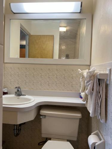 W łazience znajduje się umywalka, toaleta i lustro. w obiekcie sunrise motel w mieście Owego