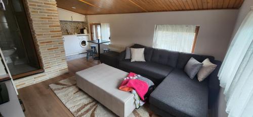 a living room with a couch and a kitchen at Silenos Bungalow Stone House in Konya