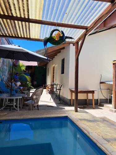a bird sitting on a pergola next to a swimming pool at Hostal Mochilas in Granada