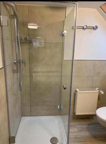 a shower with a glass door in a bathroom at B&B Malú am Ring in Müllenbach