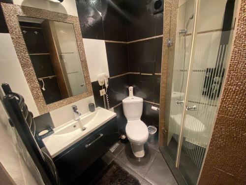 a bathroom with a toilet and a sink and a shower at Lovely 1-bedroom apartament with free parking in Sofia