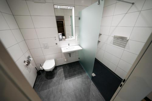 a bathroom with a toilet and a sink and a mirror at INSIDE Nordhorn by Hackmann in Nordhorn