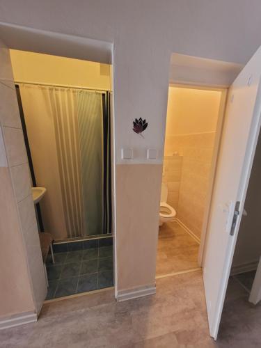 a bathroom with a shower and a toilet at Apartmány Brno in Brno