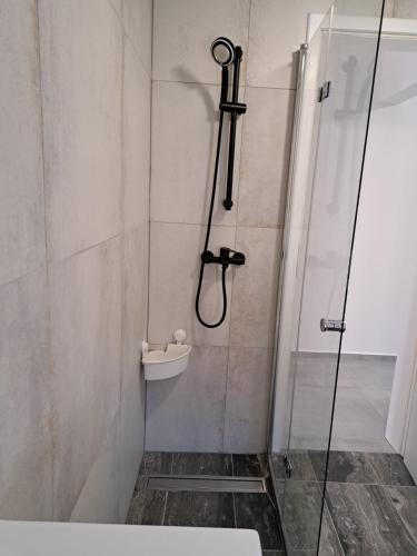 a bathroom with a shower with a sink and a toilet at Apartments Sofie & Emily in Gornji Karin
