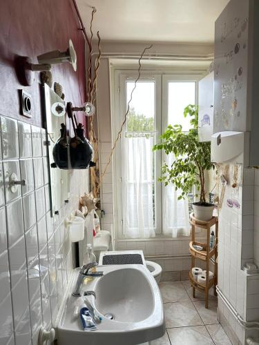 une salle de bain avec un lavabo et des toilettes et une fenêtre dans l'établissement PARIS centre 30m2, à Paris