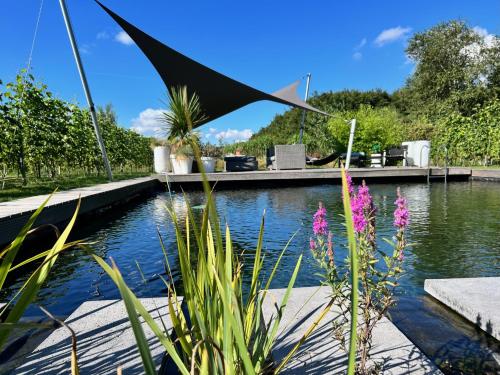 a garden with a pond and some plants at Life Contains Beautiful Things in Almere