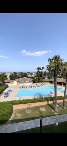 une vue sur une piscine avec des chaises et des palmiers dans l'établissement Corse Appartement Sognu di Mar Marine de Bravonne à Linguizzetta, à Linguizzetta