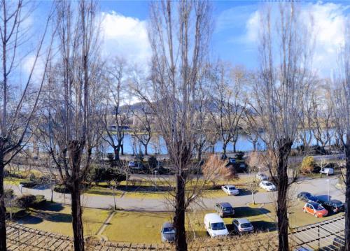 a group of trees with cars parked in a parking lot at Pertinho do Rio in Ponte de Lima
