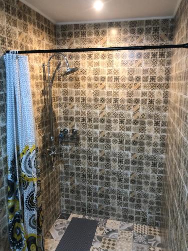 a shower with a glass door in a bathroom at Old Court in Curtea de Argeş