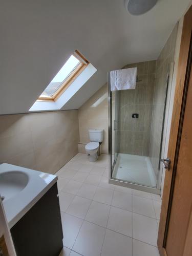 bagno con doccia, lavandino e servizi igienici di Dunquin House Bed and Breakfast a Dunquin