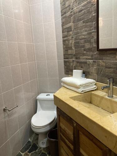 a bathroom with a toilet and a sink at Palmas de Chahue in Santa Cruz Huatulco