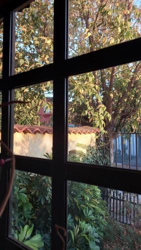 a view from a window looking out at a garden at Los Laguitos in Santiago