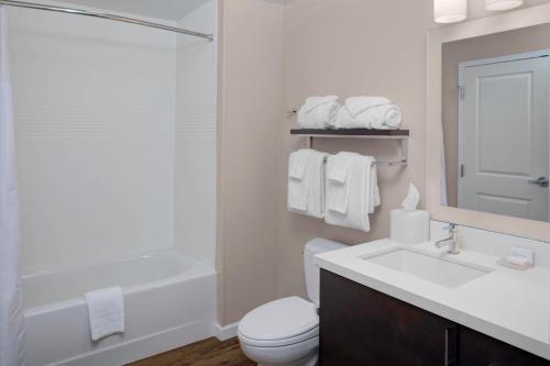 a bathroom with a sink and a toilet and a shower at TownePlace Suites by Marriott Albany in Albany