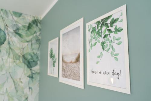 four frames hanging on a wall with plants at Konik Morski in Jastarnia