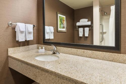 een badkamer met een wastafel, een spiegel en handdoeken bij Fairfield Inn & Suites by Marriott Springdale in Springdale