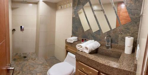 a bathroom with a toilet and a sink and a shower at Palmas de Chahue in Santa Cruz Huatulco