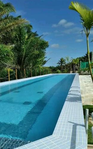 a blue swimming pool with a palm tree in the background at Apt próximo à praia de Ponta Negra/Litoral Sul/Natal in Parnamirim