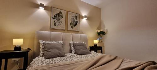 a bedroom with a bed with two pillows at Home Andrea with infinity salty pool in Roč