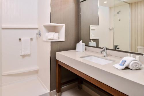 a bathroom with a sink and a mirror at Courtyard by Marriott Charlotte Northlake in Charlotte