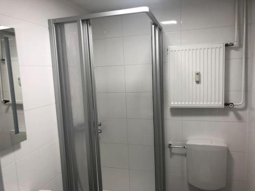 a bathroom with a shower and a toilet in it at Apartment Panoramablick 2 in Böbrach
