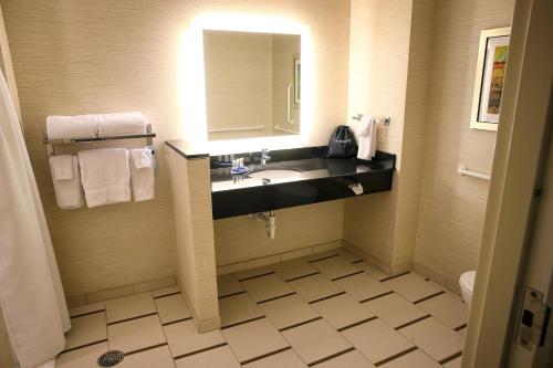 a bathroom with a sink and a mirror at Fairfield Inn & Suites by Marriott Madison Verona in Verona