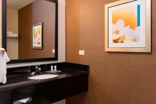 a bathroom with a sink and a mirror at Fairfield Inn and Suites by Marriott Chicago St. Charles in Saint Charles