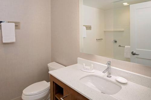 a bathroom with a sink and a toilet and a mirror at Residence Inn by Marriott Charleston Summerville in Summerville