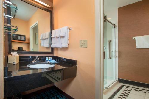 a bathroom with a sink and a mirror at Fairfield Inn & Suites by Marriott Frederick in Frederick