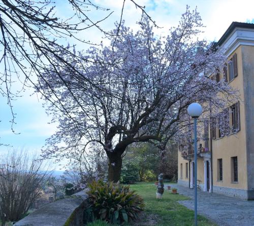 Villa Campana free private parking photo 38