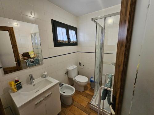 La salle de bains est pourvue de toilettes, d'un lavabo et d'une douche. dans l'établissement Estudio Brisa Canaria, à Playa del Hombre